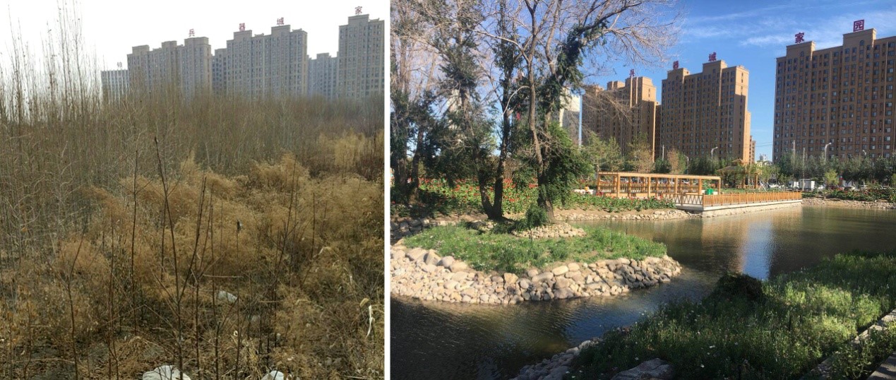 圖3：白城市科普公園改造前后對比