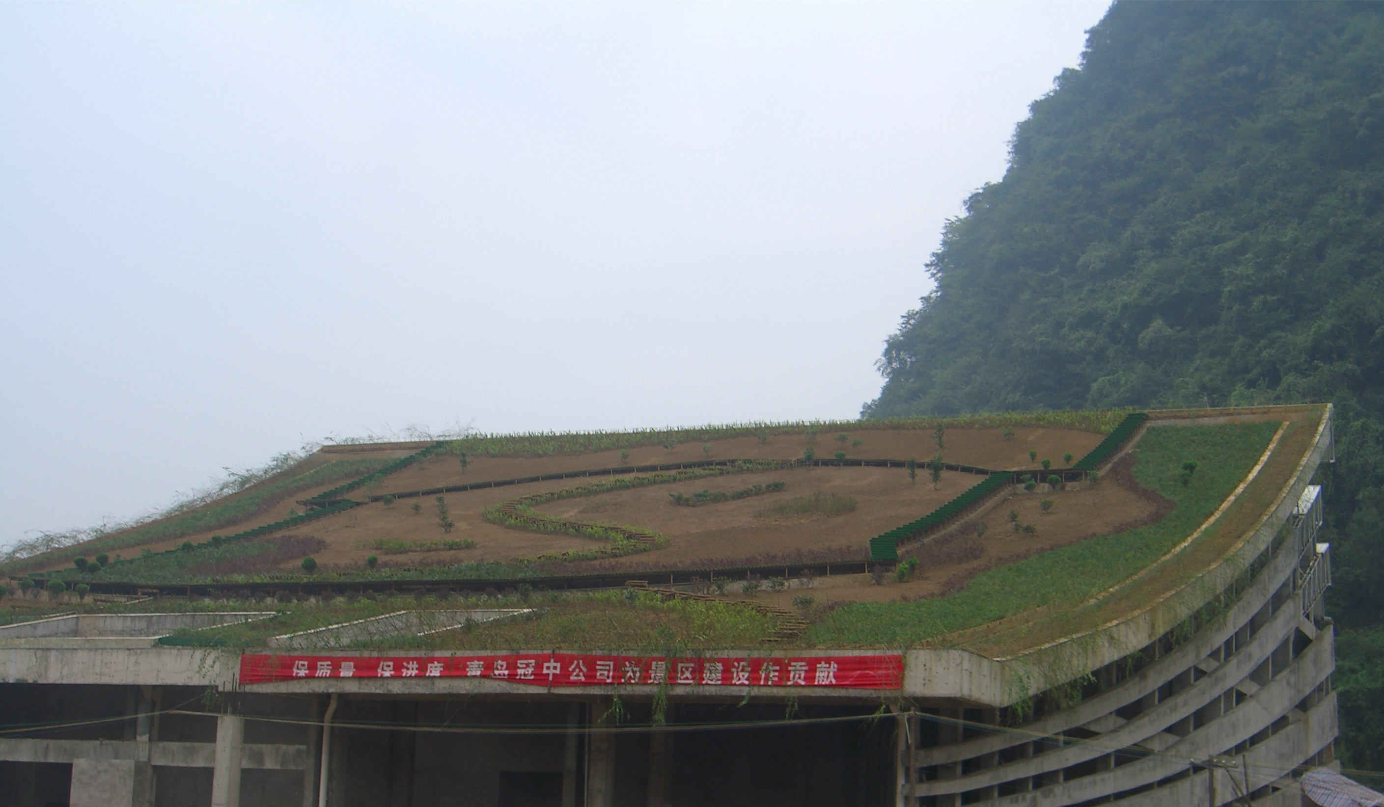 圖：2007年8月，我公司承建音樂廳斜坡面屋頂綠化施工現場