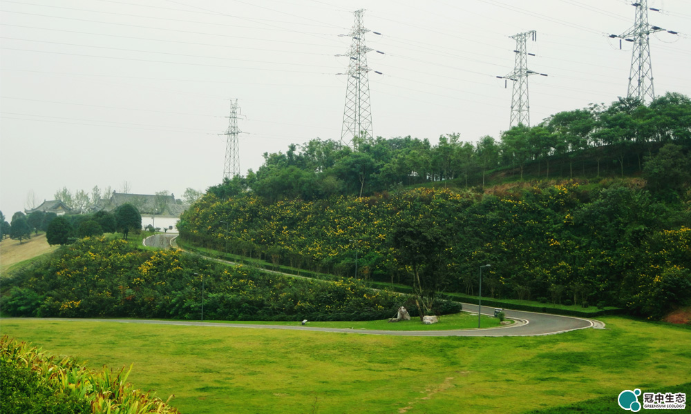 公園建設